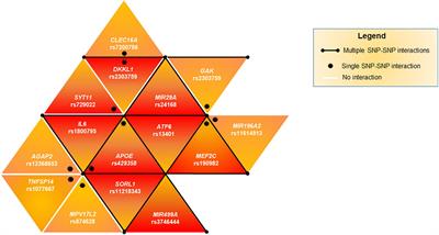 Immune System and Neuroinflammation in Idiopathic Parkinson’s Disease: Association Analysis of Genetic Variants and miRNAs Interactions
